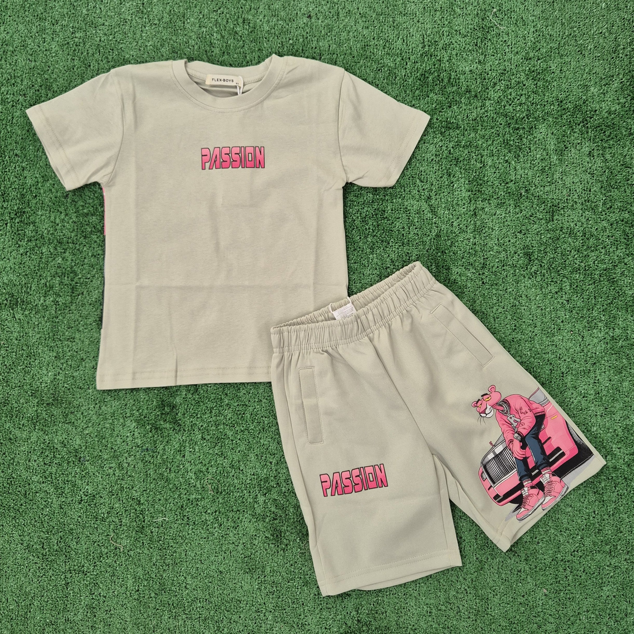 Conjunto Pantera coche verde