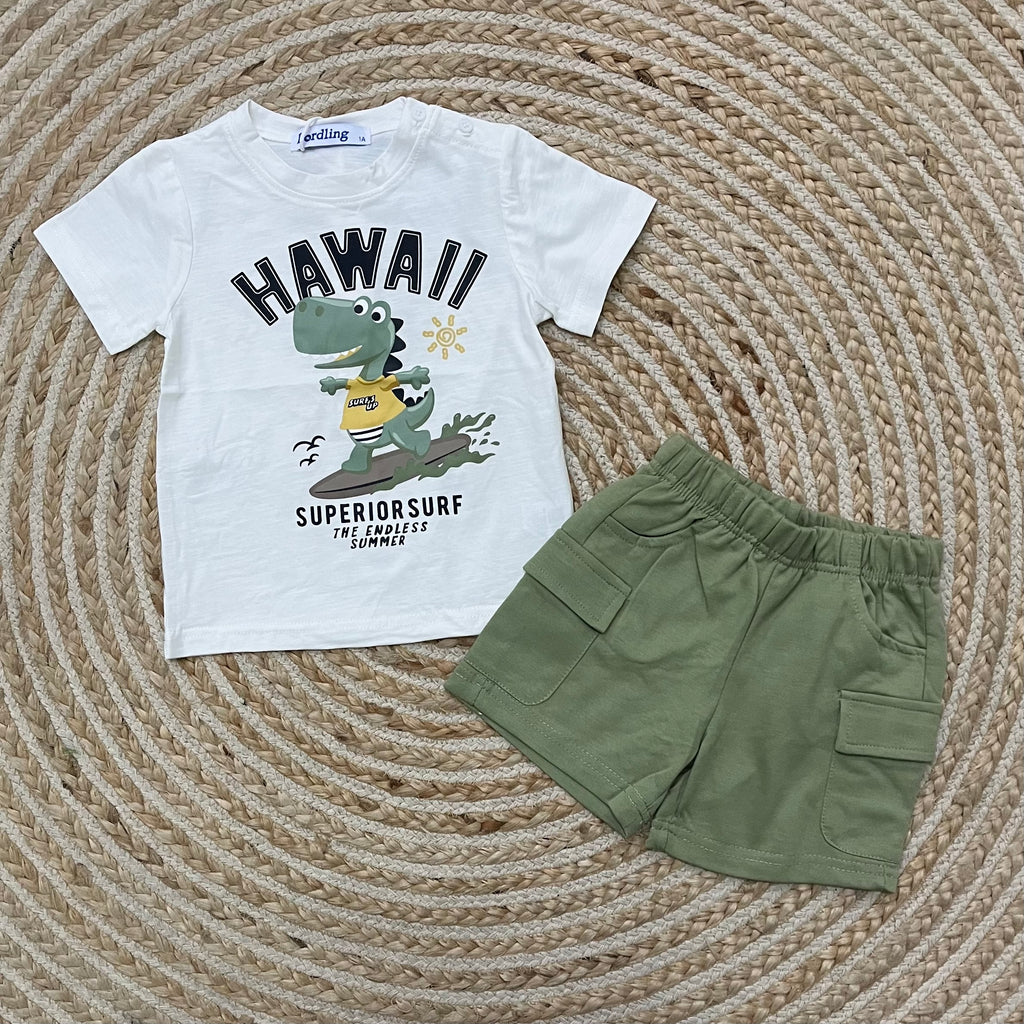 Conjunto surf verde
