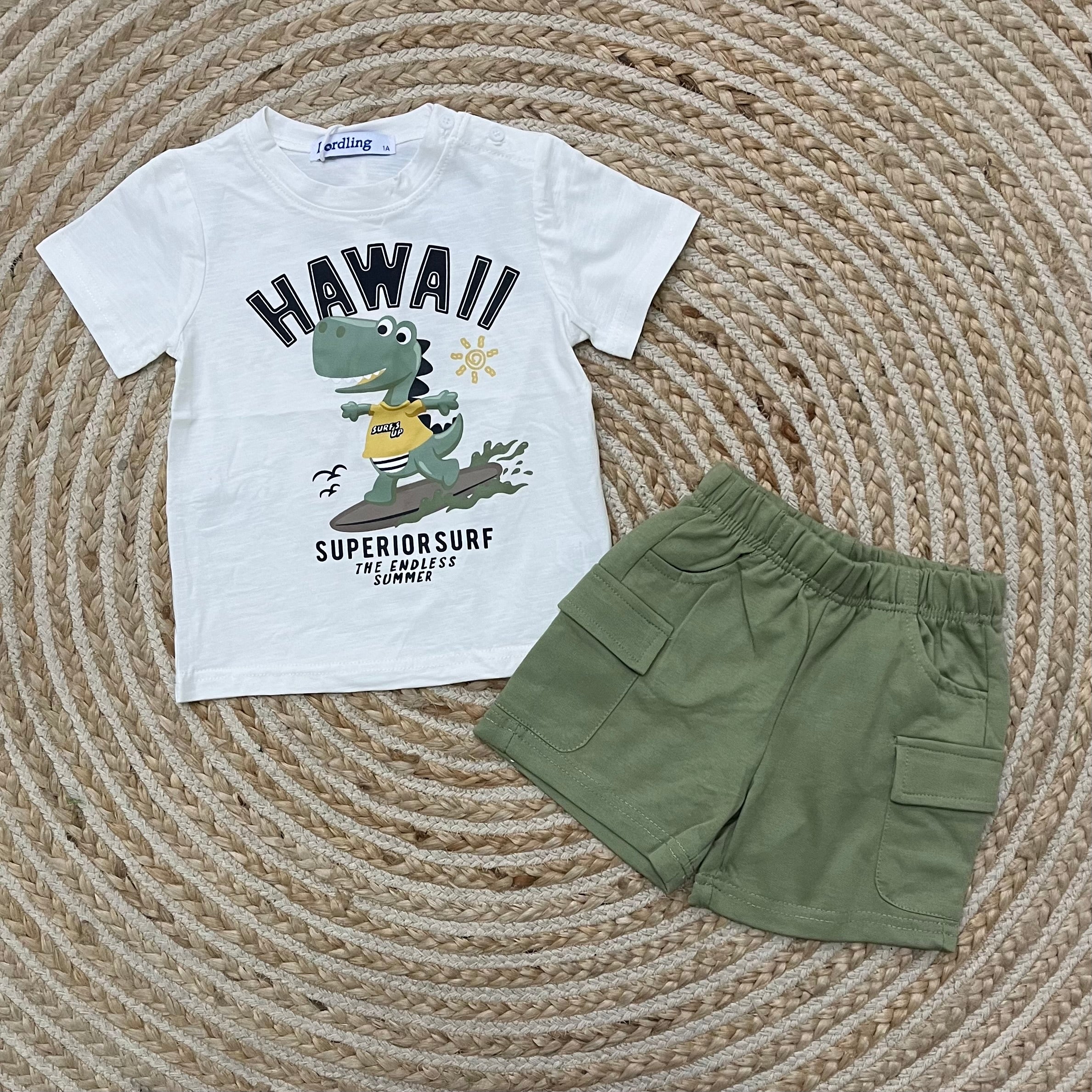 Conjunto surf verde
