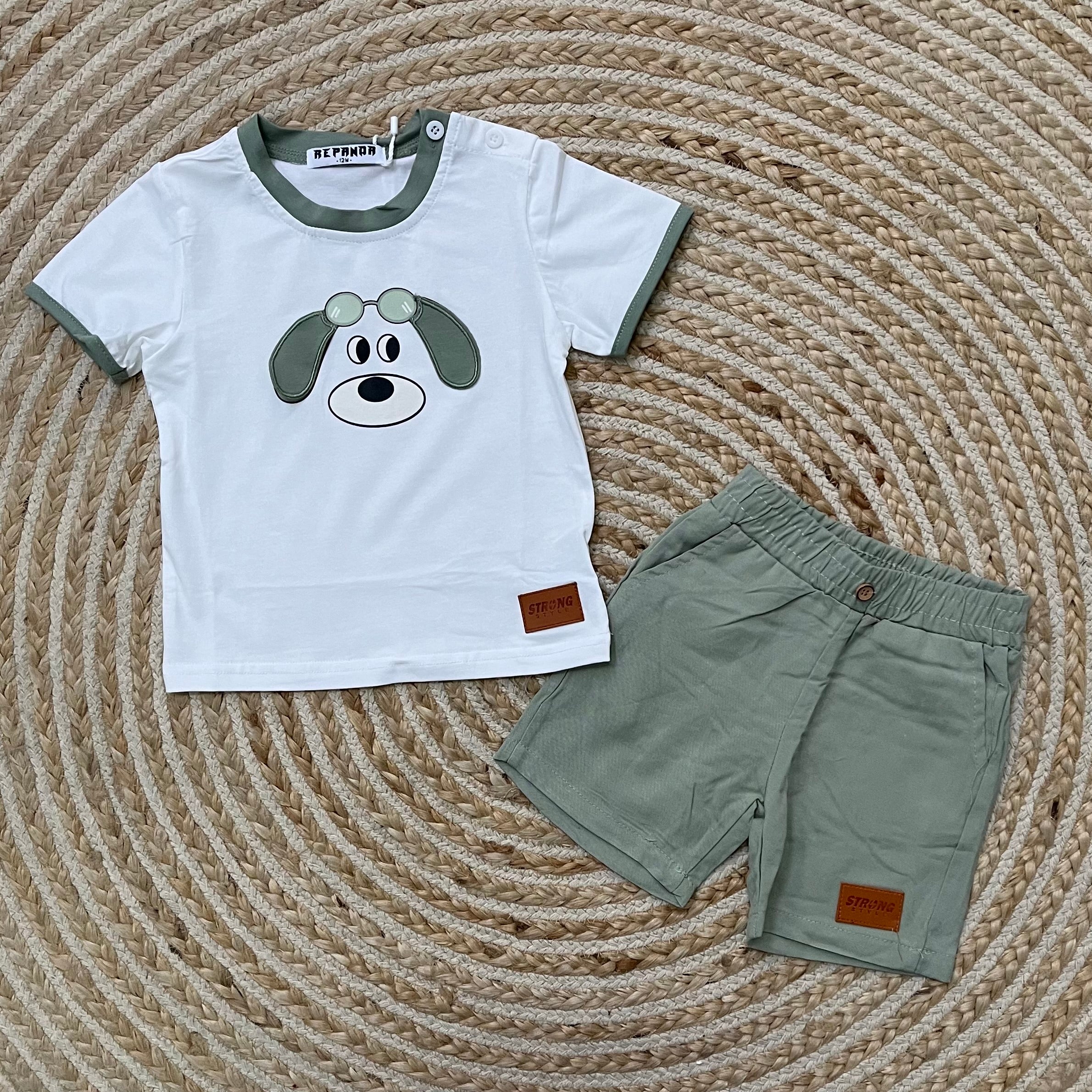 Conjunto perro verde