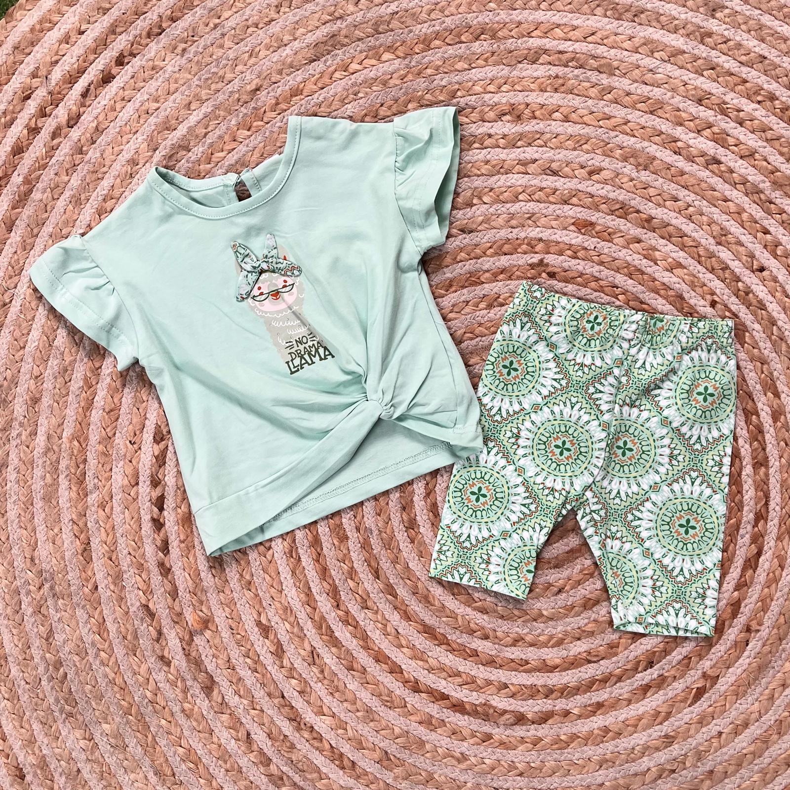 Conjunto Llama verde