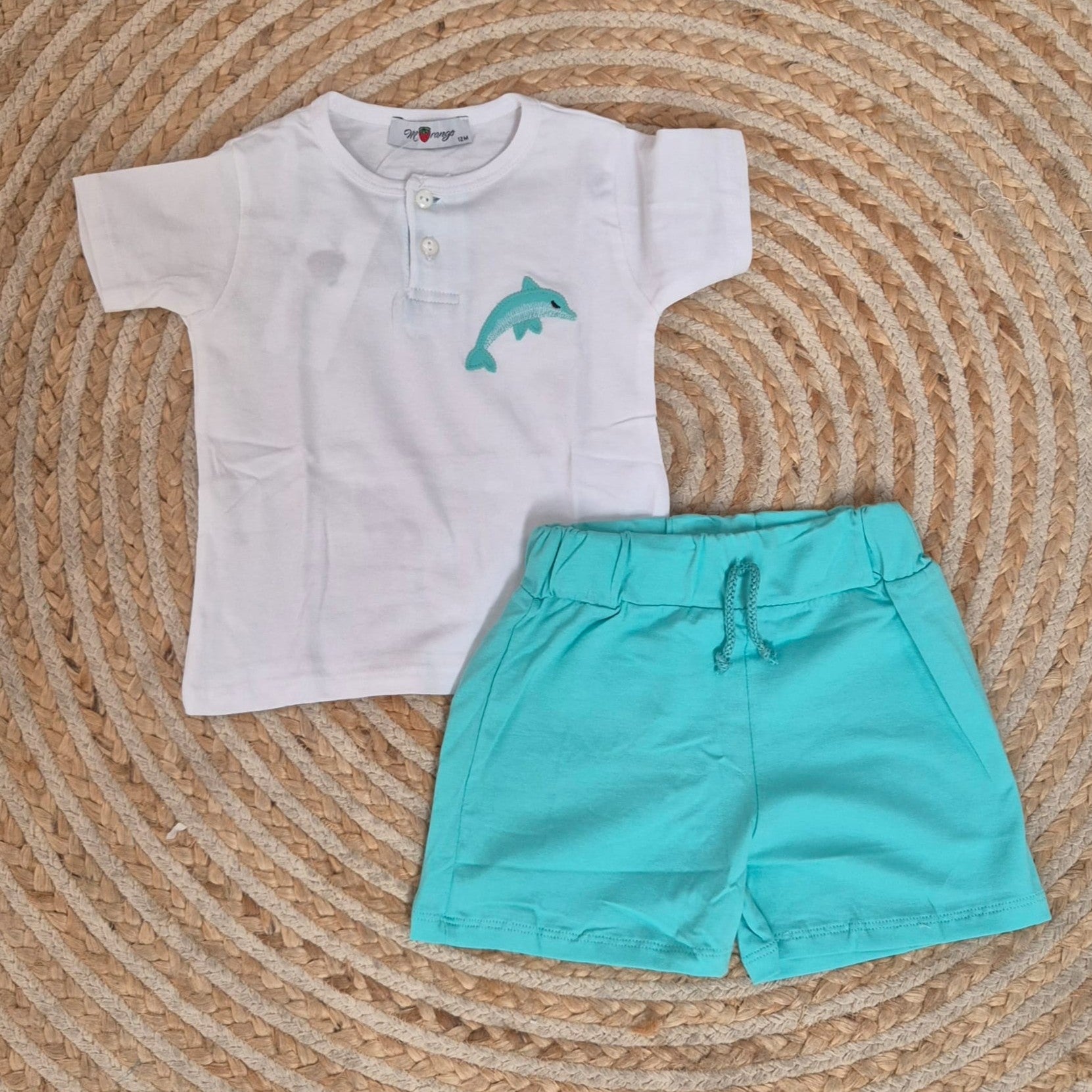 Conjunto delfin